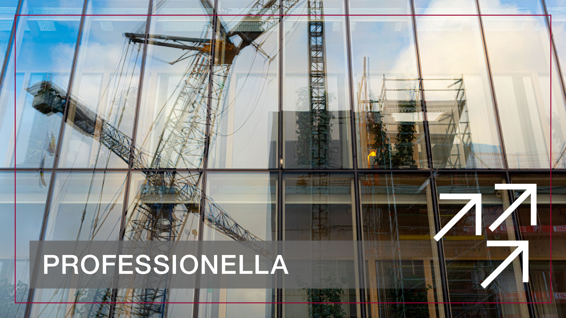 RENZ, Proffessionella